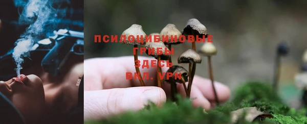 a pvp Богородицк