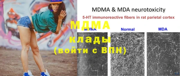 спайс Богданович