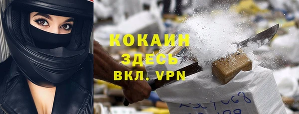 спайс Богданович